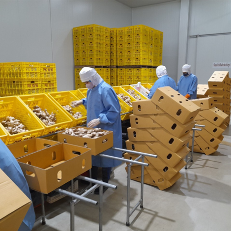 Sorting Process