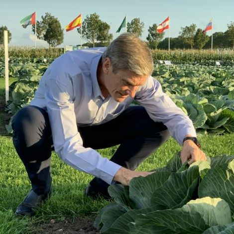 Farm
