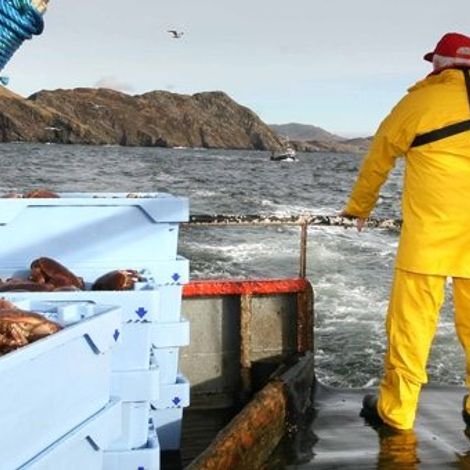 Errigal Bay Ltd - Boat