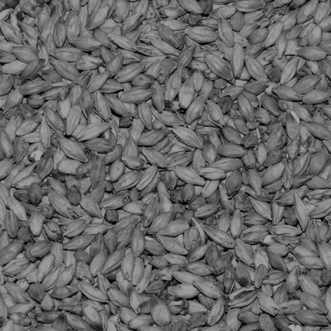 malt-gac61c7b85_1920whiteblack.jpg