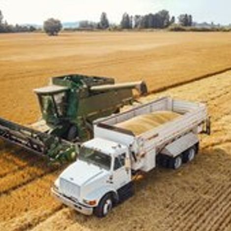 Skagit Valley Malting, Inc.