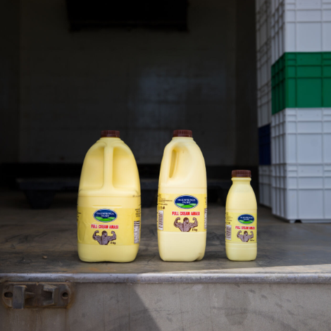 Oaksprings Dairy