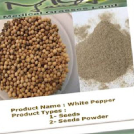 MEDICAL GRASSES LAND CO.