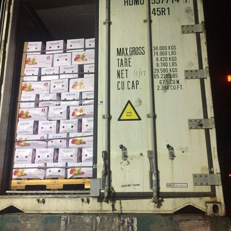 container packing 2018