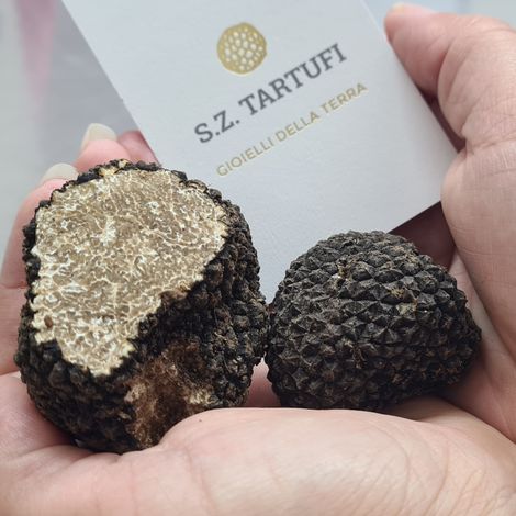 Fresh truffles