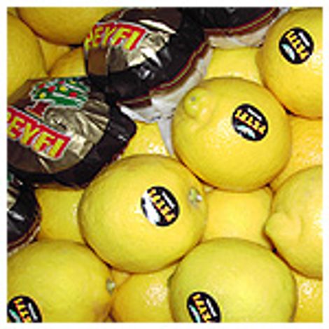 foto_limones.jpg