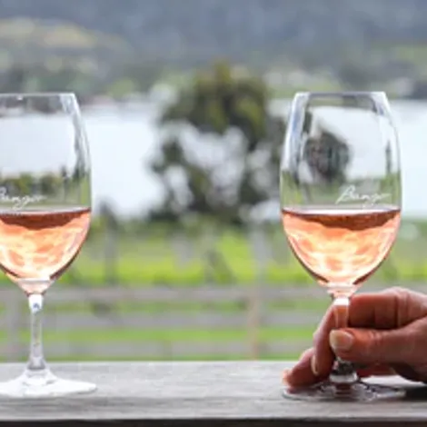 Bangor Vineyard Shed_Wine_Rose