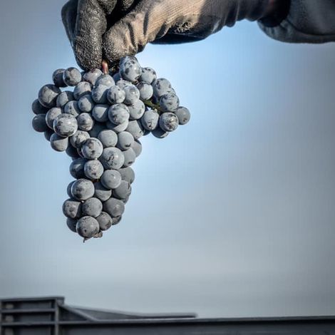 Château Faurie de Souchard - Product