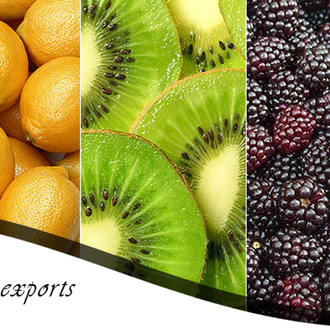 Pearl Safari Imports And Exports
