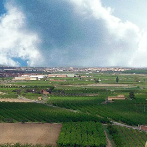 Farm