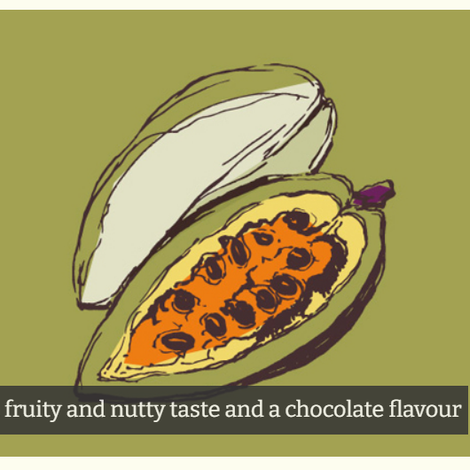 Cocoa