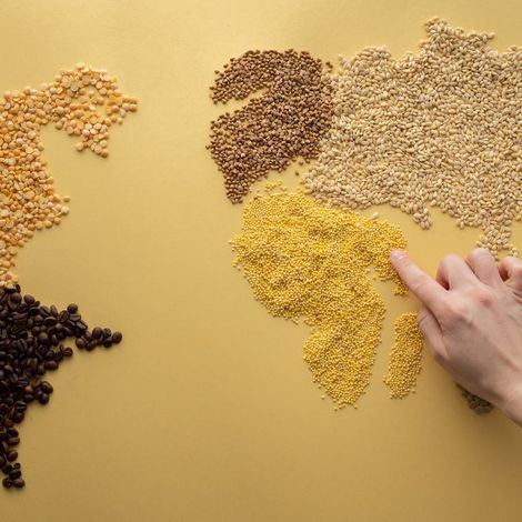 Midwest Lentils Exports Inc