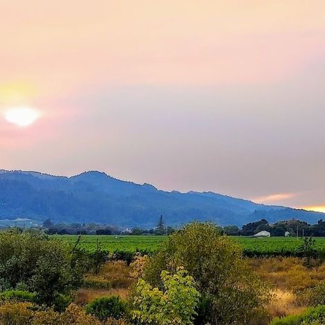 Schramsberg Vineyards_Wines_Vineyards