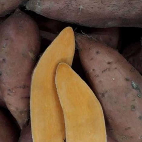 sweet potato