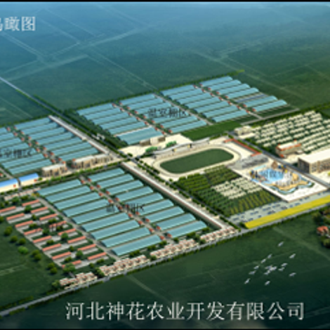 Hebei Shenhua Agricultural Development Co., Ltd.