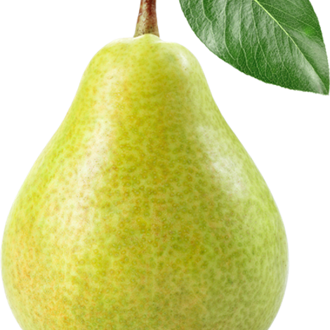 pear.png