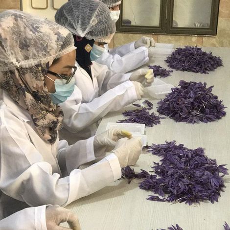 Ghoryan Saffron Ltd. - Processing Facility