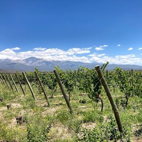 La Coste de Los Andes