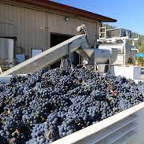 Three Clicks Wines vineyards.jpg