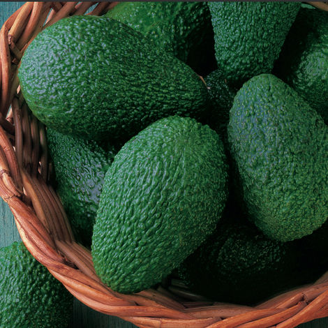 Grupo La Caña (Miguel Garcia Sanches e Hijos SA)