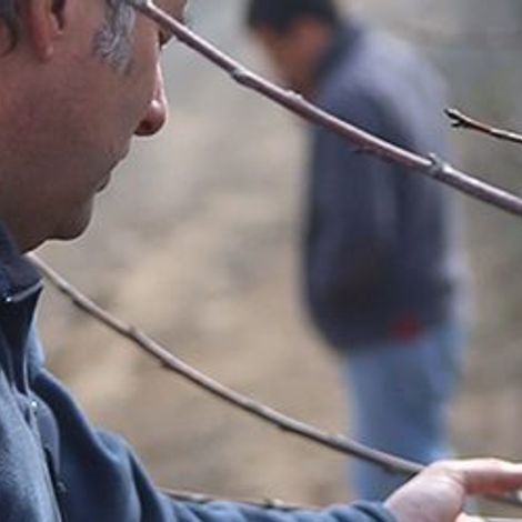 Exportadora Rancagua S.A.