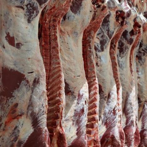 wodonga-abattoir-meat-400x533.jpg