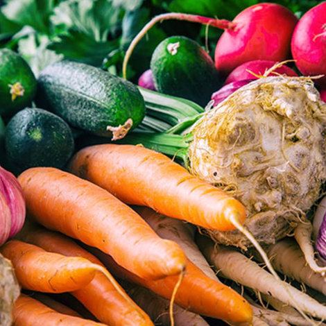 Screen Shot 2022-11-22 at 7.54.21 AM.png