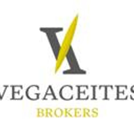 VEGACEITES