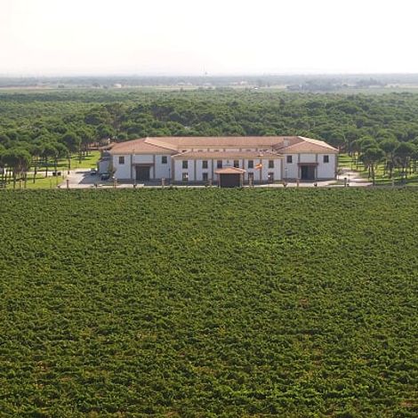 Home-La-Jaraba-2.jpg