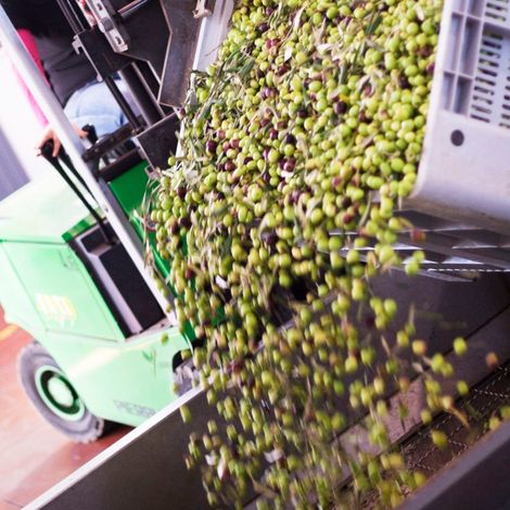 Receive Fresh Olives