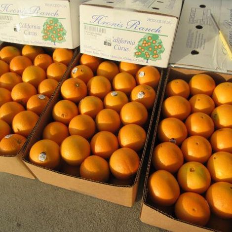 Hronis_CaraCara_Packaging