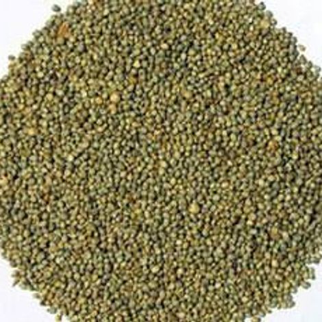 Nigeria northern millet