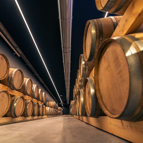 Château d'Arche - Cave