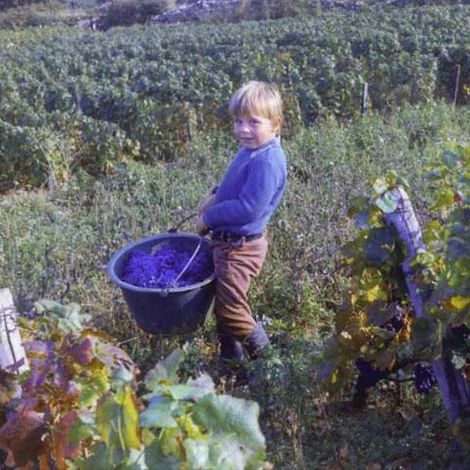 JCB by Jean-Charles Boisset