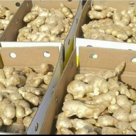 Elohim Exporters Limited