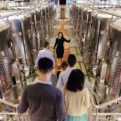 vinification