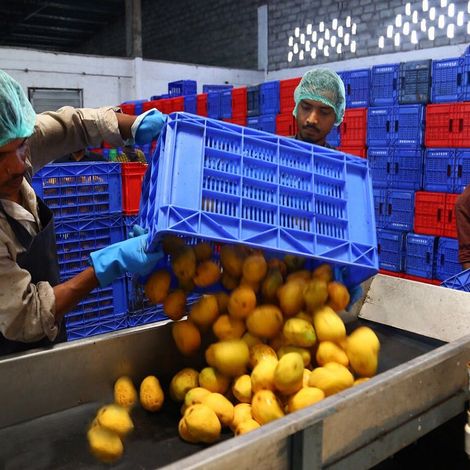 Amyra Food Products Pvt Ltd - Facility