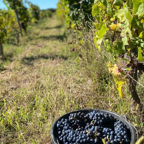 Château Vieux Mougnac