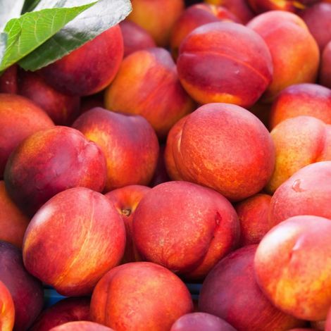 Joinfruit - Apples