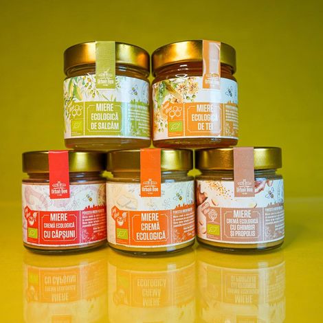 Mihoci Constantin PFA