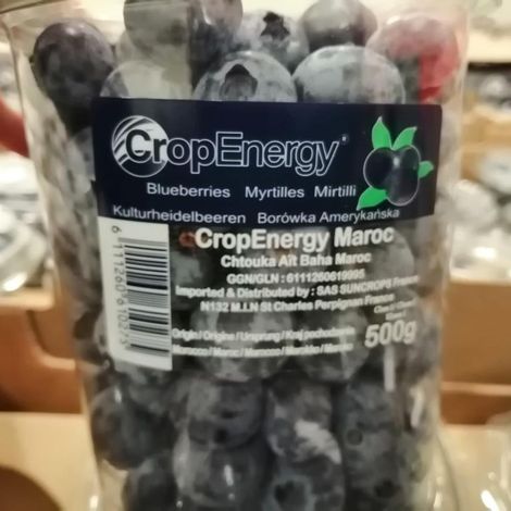 Blueberry Shaker