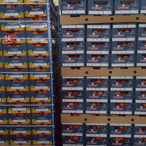 El Shrouk for food industries