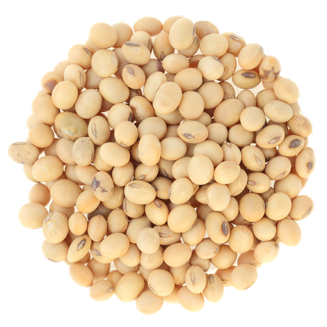 McGeary Grain, Inc
