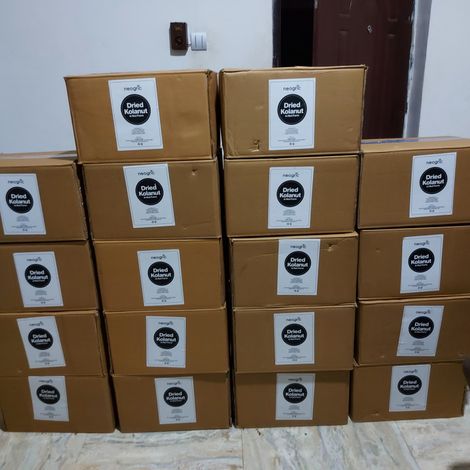 Premium Dried Kolanuts
