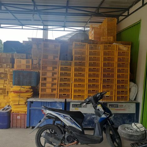 Packing Are Solution