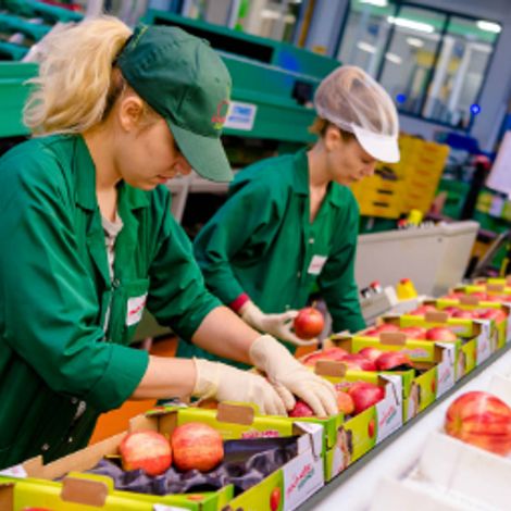 Amade Fruits GmbH - Production