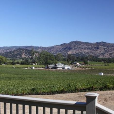vineyard darms.jpg