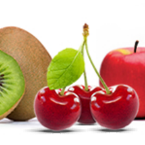 COMPANIA CHILENA DE LA FRUTA S A