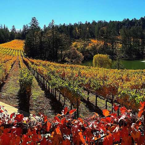 Sherwin Family Vineyards