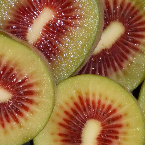 Zeoli Fruit SRL